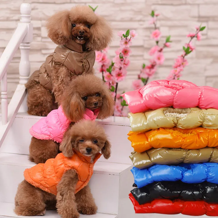 

Solid Color Biker Harness Warm Winter Puppy Teddy Thick Dog Vest Clothes, Picture