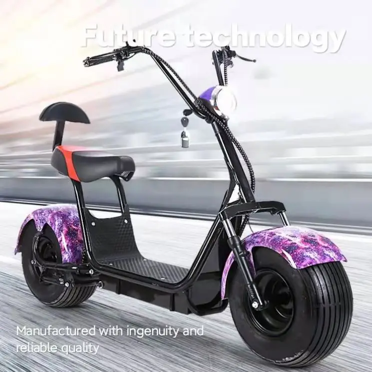 

Fasuer Drop Shipping Dual Motor Electric Scooter 1000W 48V17.5Ah Two Wheel E-Scooter For Adult
