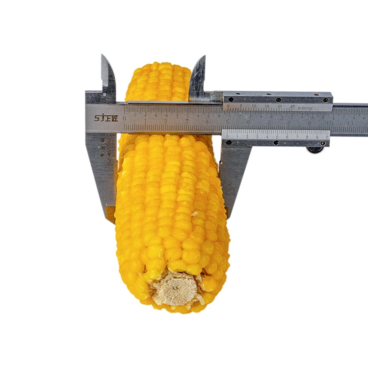 price iqf frozen fresh sweet corn cob wholesale
