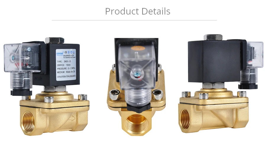 2W31BRASS-Details