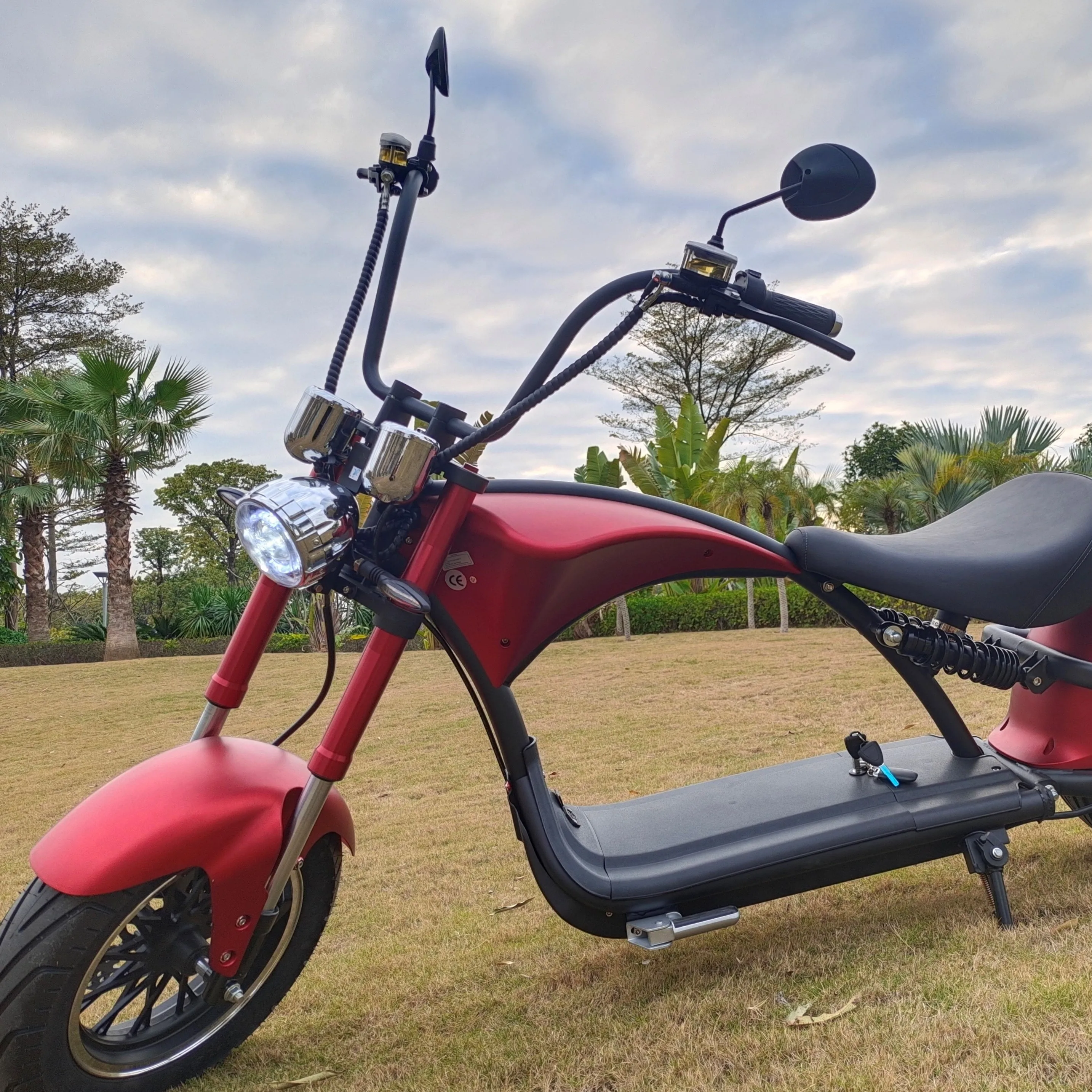 

Model M1P new dual suspension good quality citycoco wide wheel electric scooter chopper