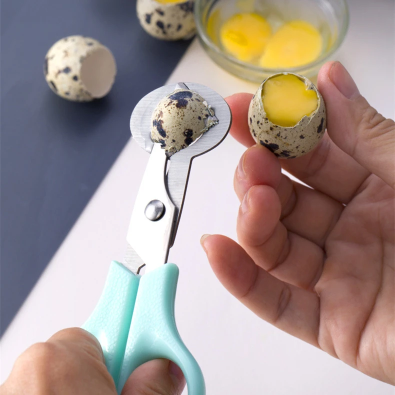 

5 Inch Small Size Kitchen Scissors Cutting Quail Egg Scissors for the kitchen
