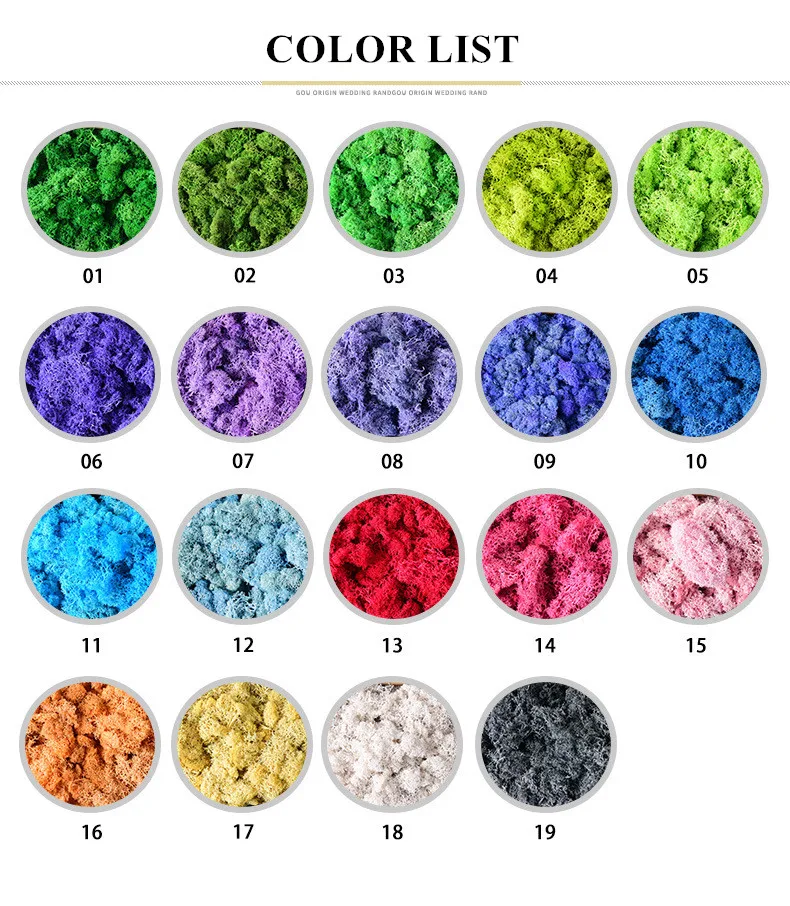 12305436809_968595925_