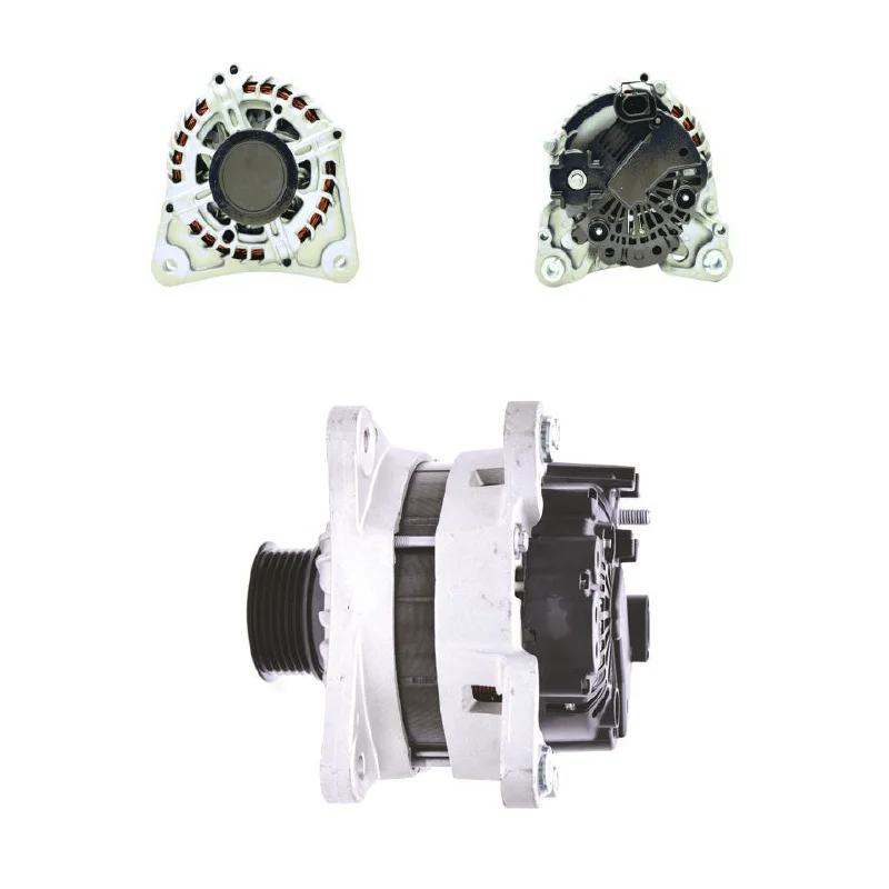 

ALTERNATOR FOR 110A TG11S120 S0000361701 TG12S195 2617219 442316 2620225
