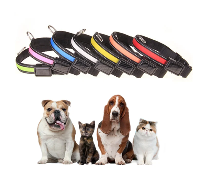 
Best Selling solar LED Light Dog Collar Safety USB Solar Charge Dog Collar for Pet 