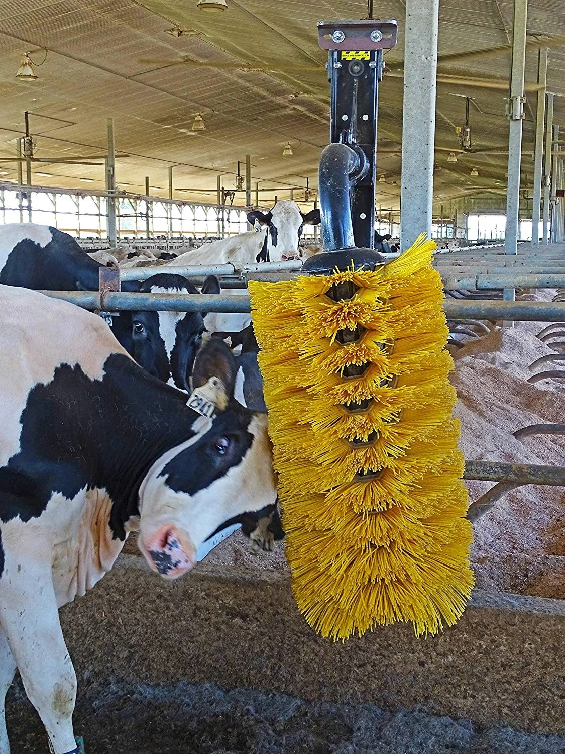 Chinese Manufacturer Customizable Automatic Cow Cattle Scratch Brush