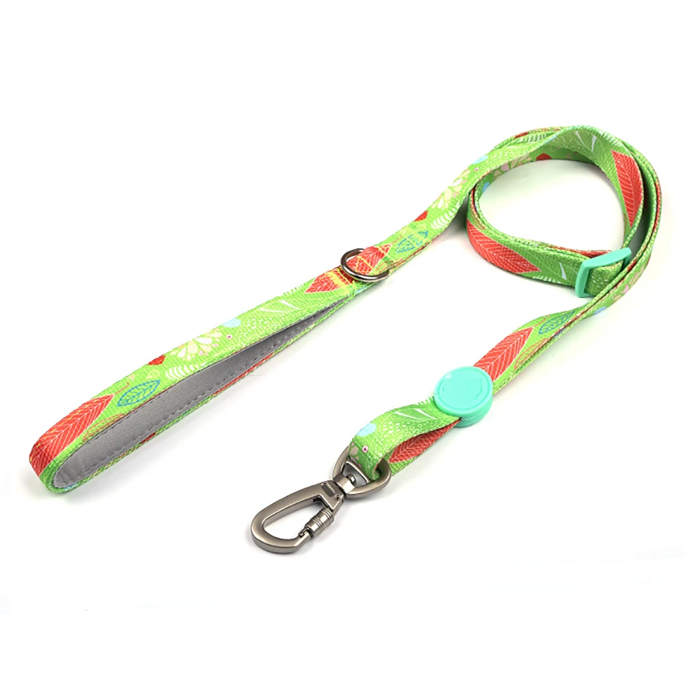 

Custom Printed Pet dog Collar,matching leash,harness available, Custom color