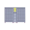 Network Storage Locker Automatic Smart Parcel Delivery Locker Safe intelligent electronic Express Cabinet Lockers