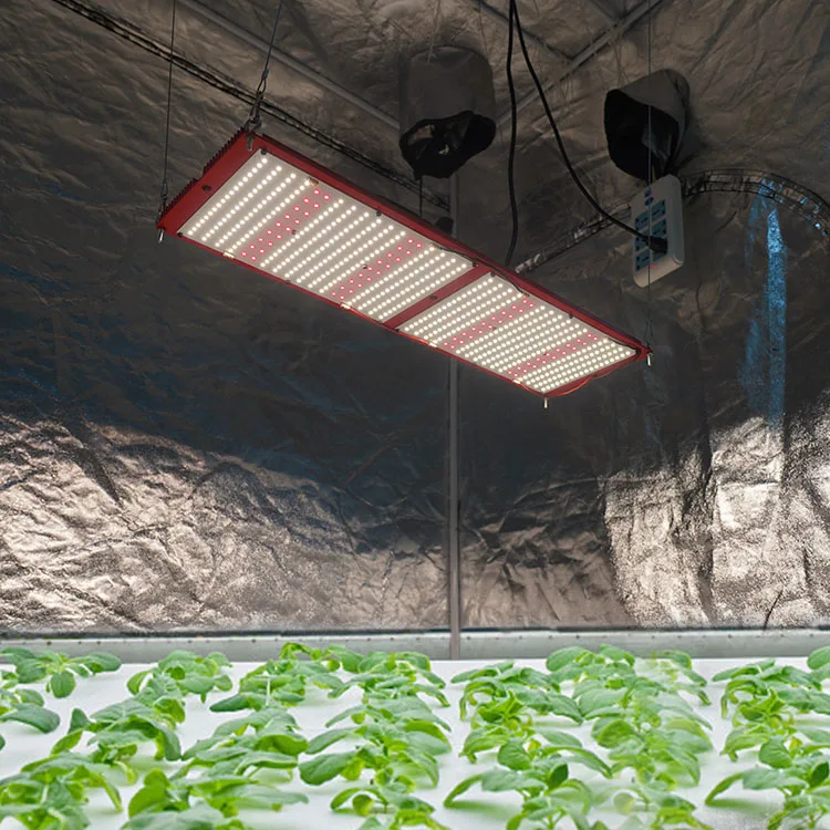 Fogrooo Hot Sale Factory Direct, 2020 240w qb288 V2 Lamp Grow Plant Shelves Grow Led Light Stripe Grow Tent/