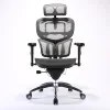 SIHOO Free sample Nova Ergonomic Gaming Racing Computer Chair For gamer and Office Manager