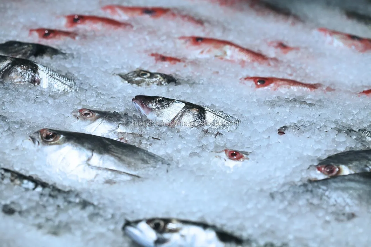 高效工业碎冰机块冰机 - buy ice crushing machine