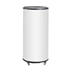 Good quality CE approved mini can cooler fridge custom upright with custom brand for supermarket