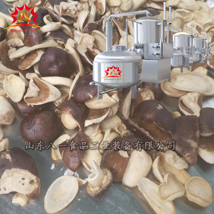 stainless steel garlic chips vacuum frying machine