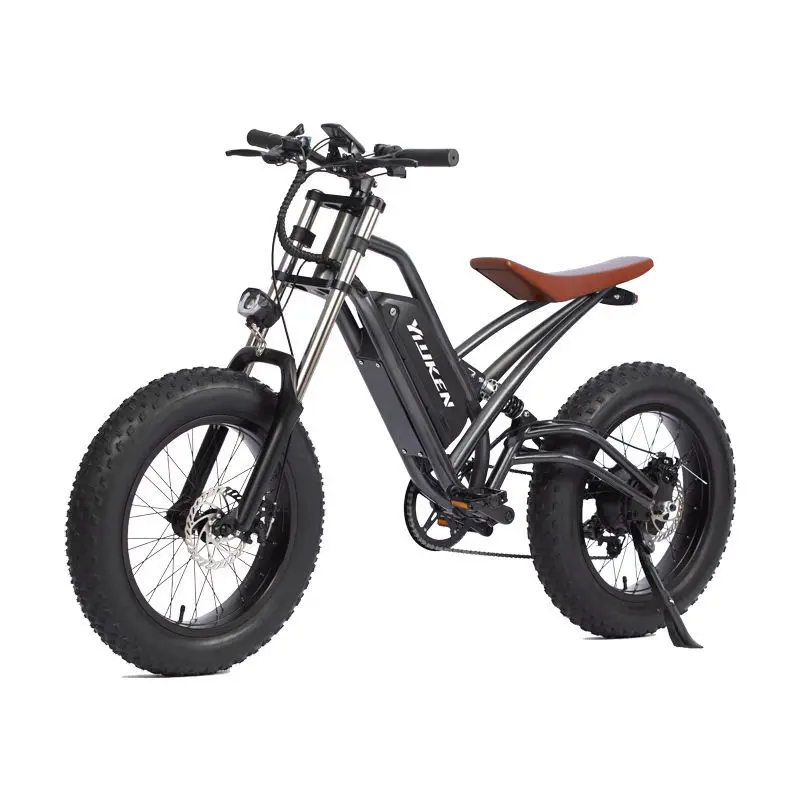 

Retro plus 48v 750w rear hub motor with full suspension fat tire ebike 20 inch electric bicycle