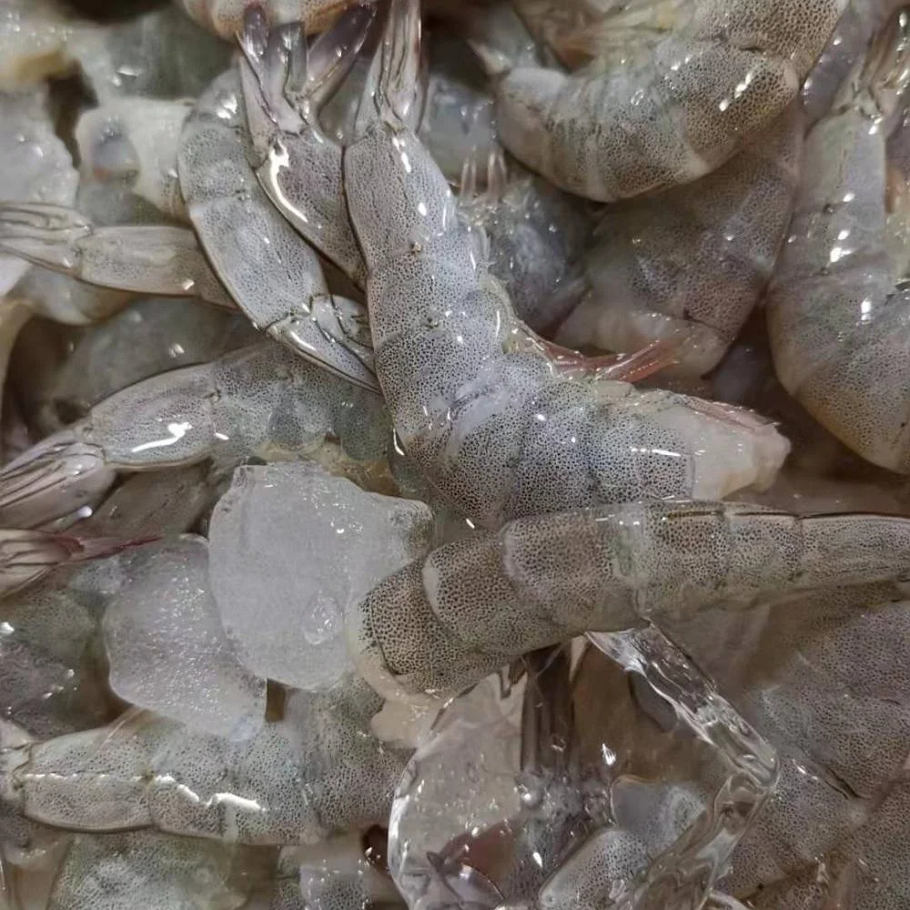 
Frozen vannamei shrimp wholesale and seafood 