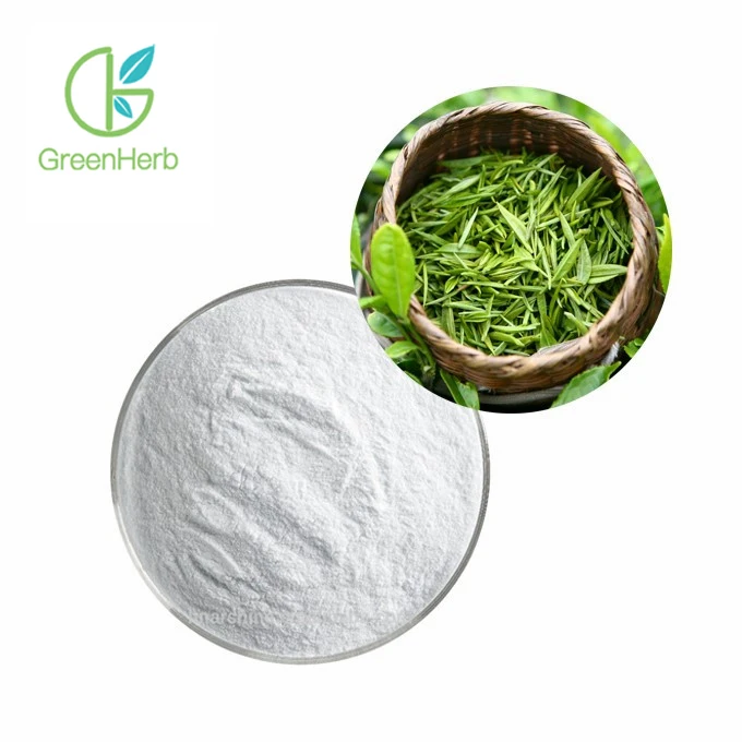 

Source Factory Promotion Famous Brand Healthy Tea Drink Instant Green Tea Powder Green Tea Extract