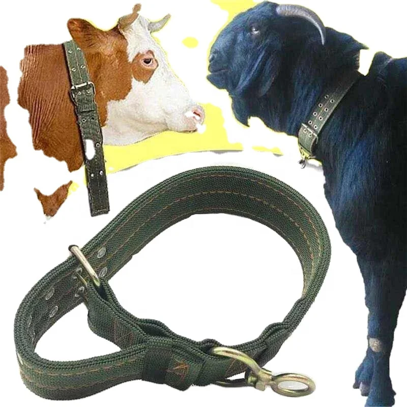 

Pc Cattle Sheep Dog Goat Donkey Horse Cow Collar Canvas Belt Strong Durable Necklace Belay Tie Veterinary Equipment