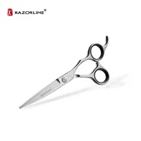 

Professional Hair Beauty Scissor Manufacturers Scissor Left Handed Barber Hair Scissors