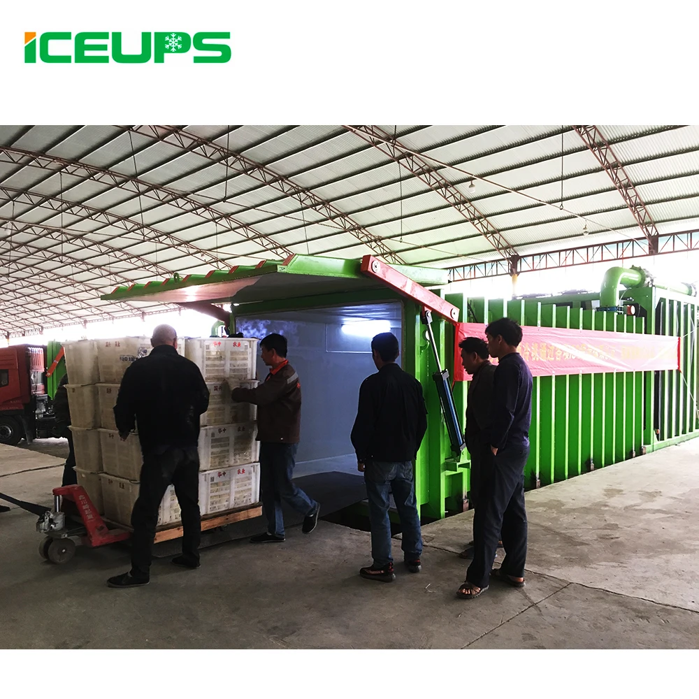 
ICEUPS Vacuum Cooler Top Refrigeration Field for Cauliflower Preservation 