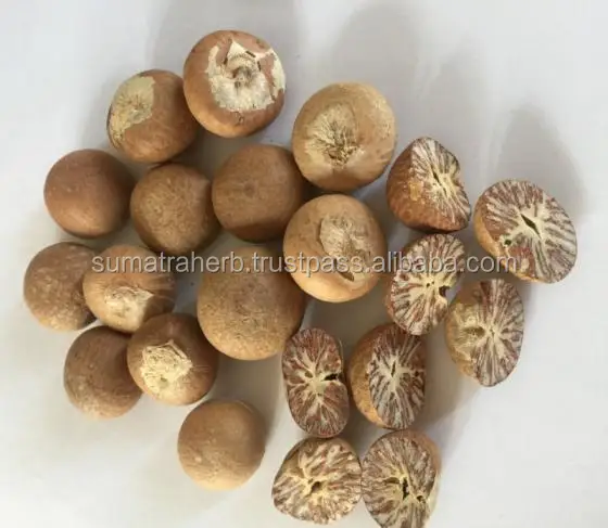 
Sumatra Supply High Quality Indonesia Dried Whole Betel Nuts / Areca Nuts 