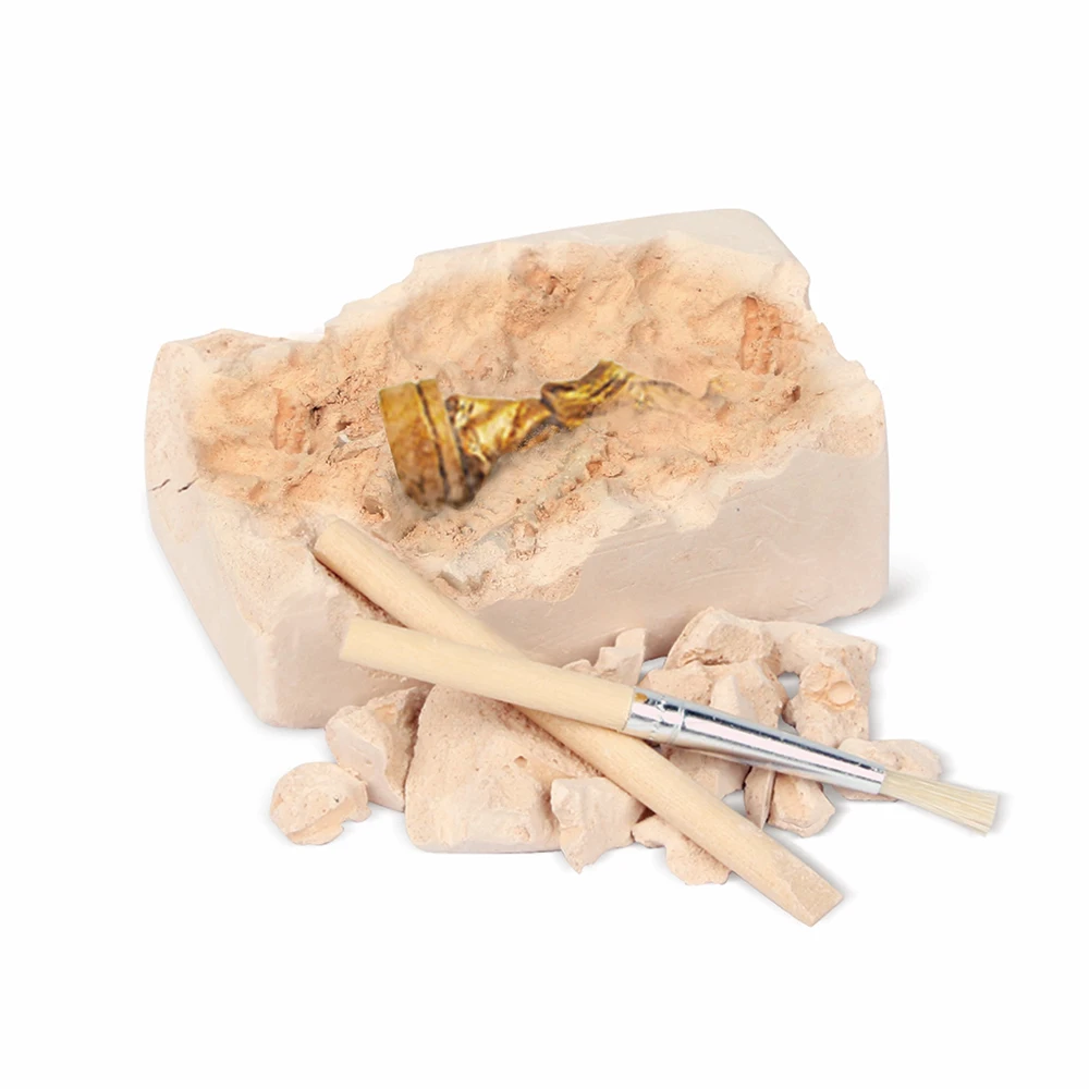 New Archaeology Toys For Kids Stem Educational Fossil Excavation Dig It