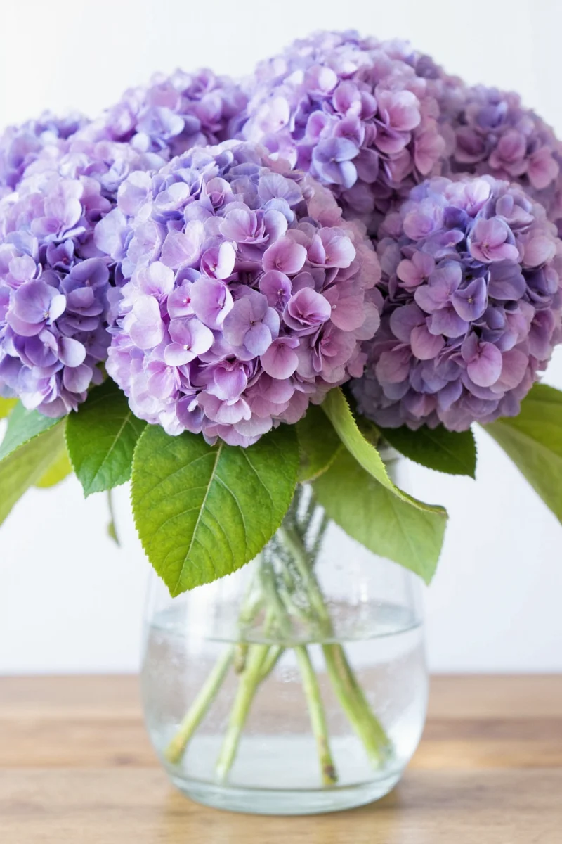 Premium silk hydrangea bush in a vase
