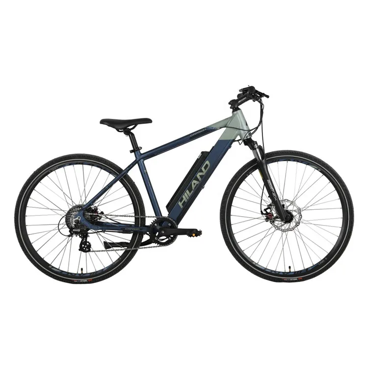 electric bike (1).jpg