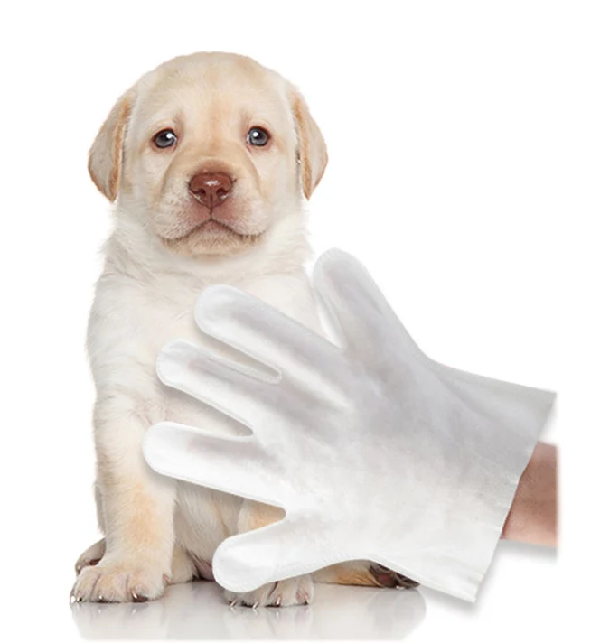 

High effective pet deodorizing glove wipes pet cleaning & grooming products amazon pet massage grooming glove