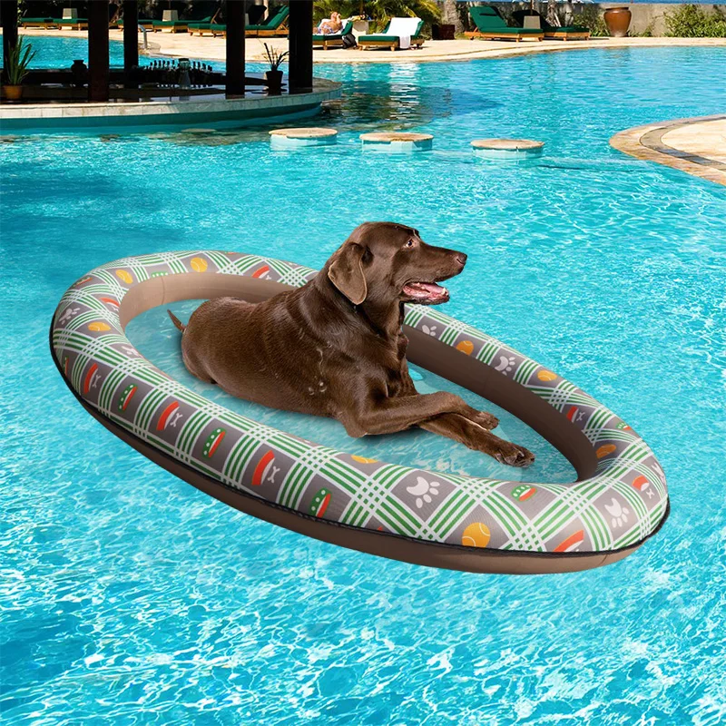 dog pool toys