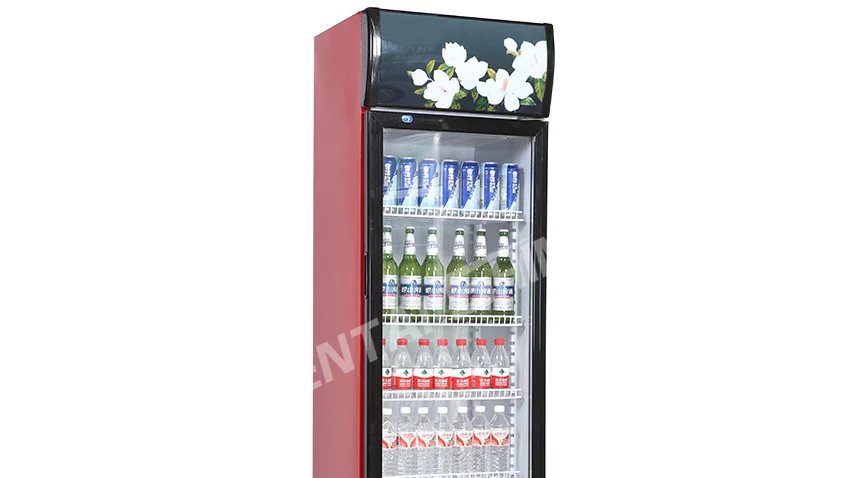 double door cold drink fridge for sale
