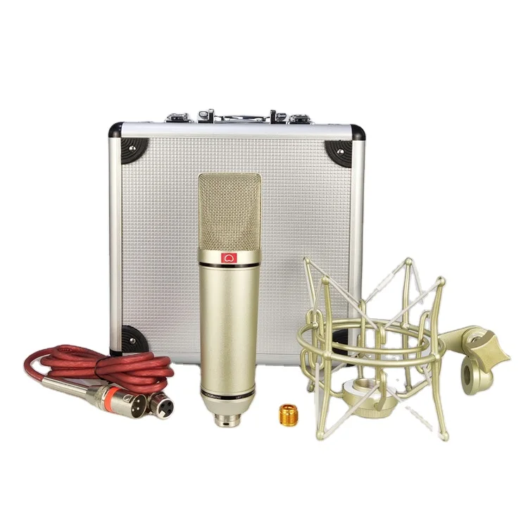 

Professional studio recording microphone set condenser Large diaphragm mic for YouTube livestream broadcasting TK