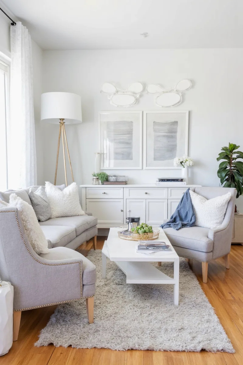 Modern living room in gray and white