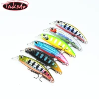 

TAKEDO DW67 60mm 6.1g High Quality Fishing Lure Minnow Variable Sinking Water Bass Lure Artificial Hard Lure