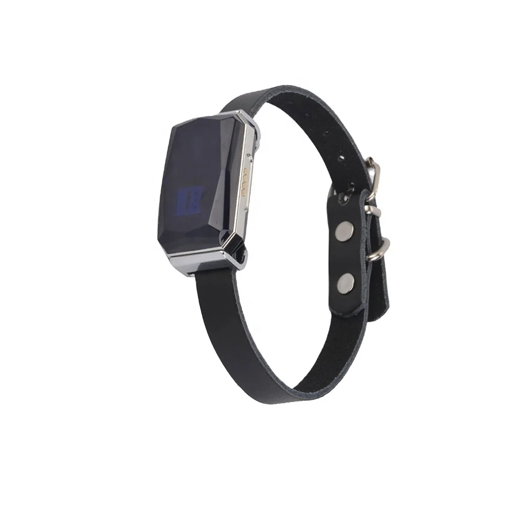 

WanwayTech GP08 New Designed Voice Monitoring USB Mini Cat GPS Dog Collar tracker