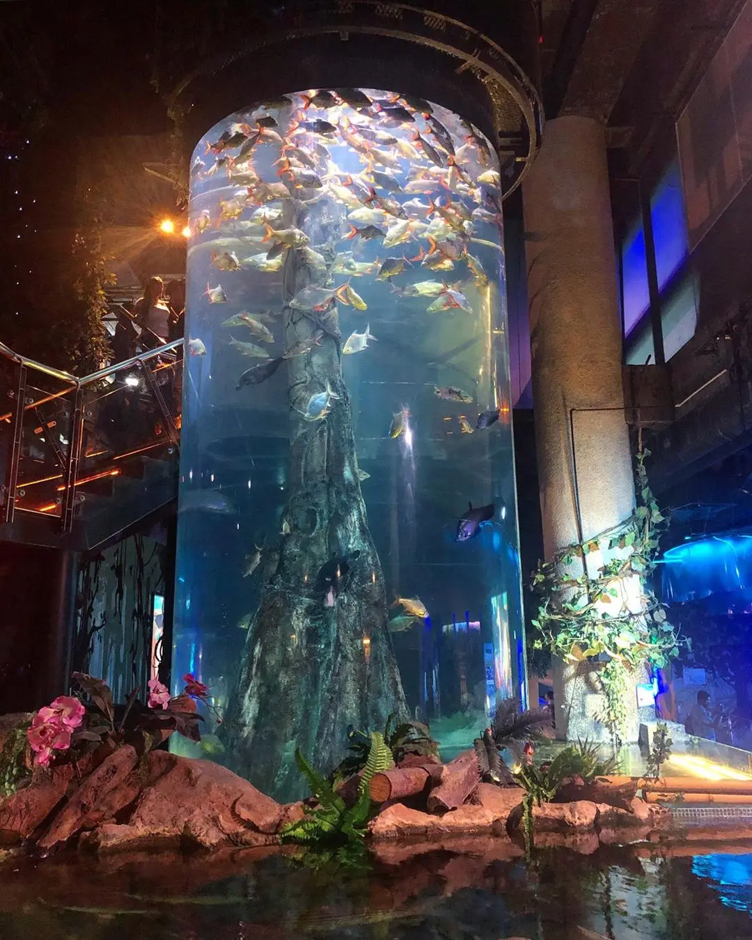 a & c 1000毫米大口径压acrylic 管大型圆形缸水族馆