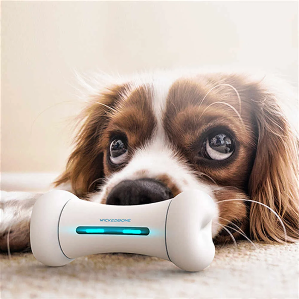 

Usb Charging And Phone App Control Dog Bone Automatic Intelligent Interactive Electric Pet Toy Dog Toy, White