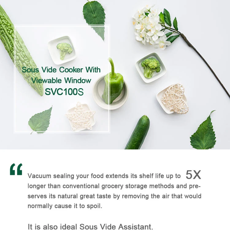 SVC100S_011.jpg