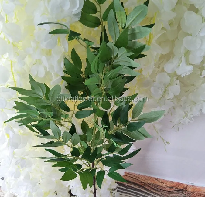 willow leaf  (2).JPG