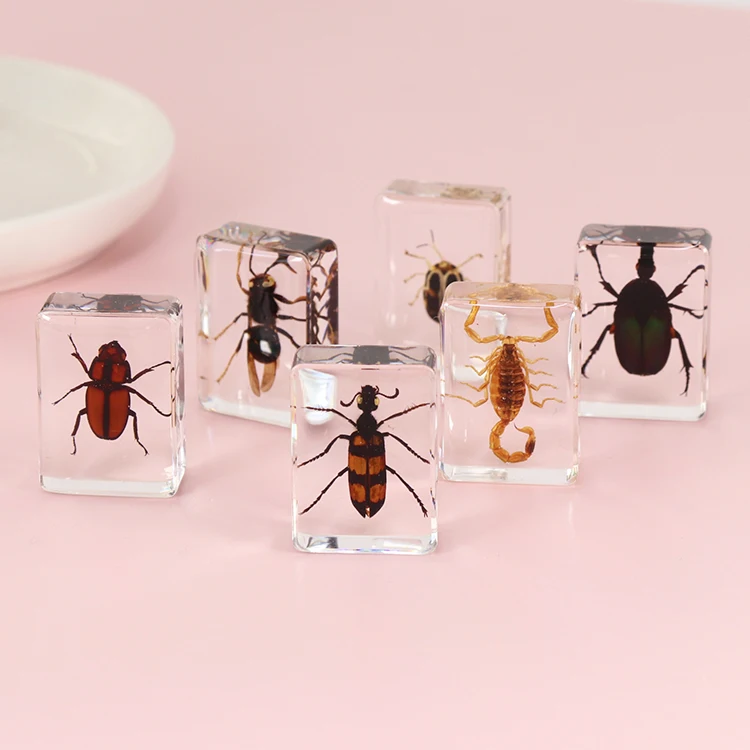 

Custom Souvenirs Wholesale Child Gift Real Spider Scorpion Resin Craft Home Decoration Transparent Souvenirs Insect Specimen