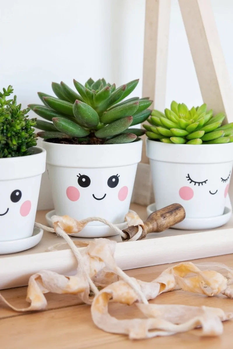 Comparison image showing five types of cute painted pots side by side
