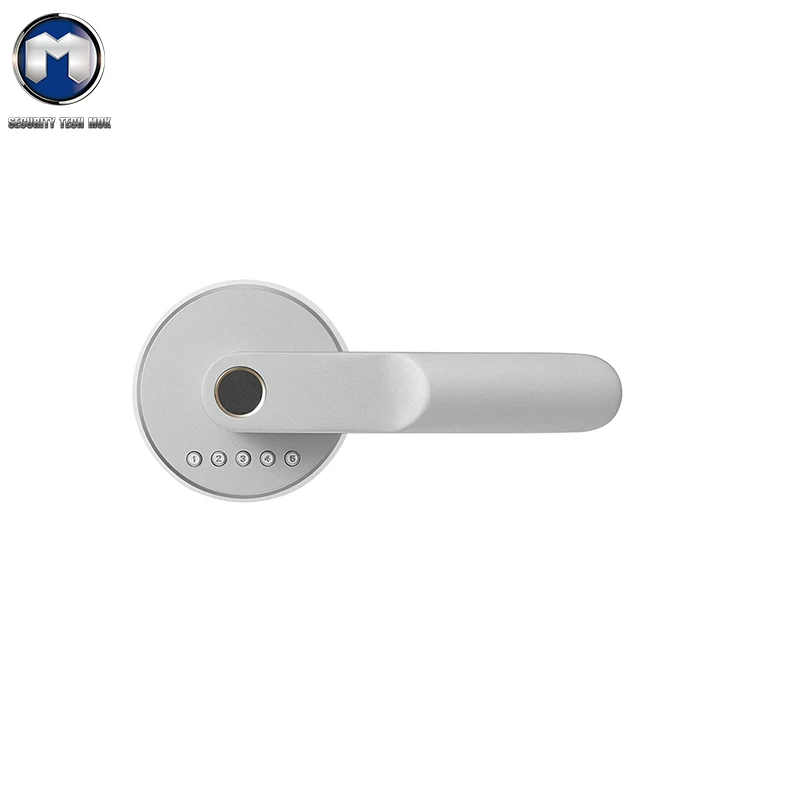 

Door lock simple waterproof biometric fingerprint door lock digital lock