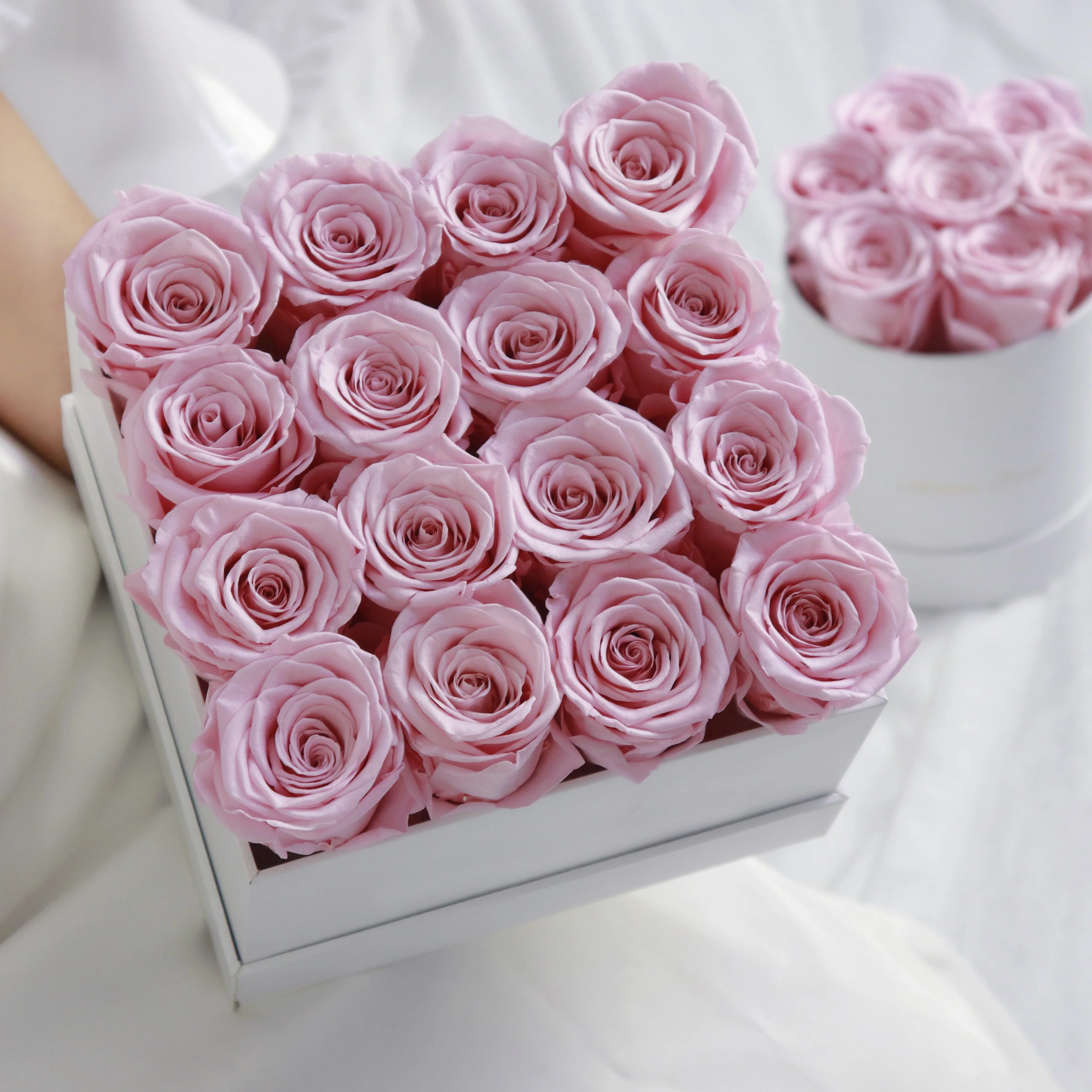 Custom Natural Eternal Flower Forever Rse Rosas Preservadas Preserved Roses Buy Preserved