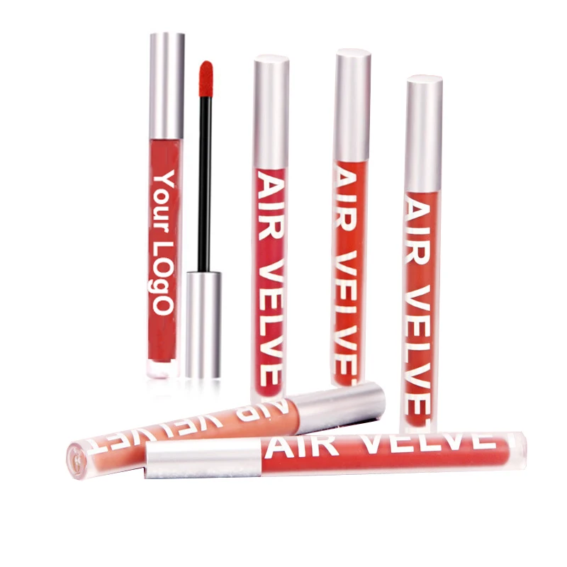 

2021 High Pigment Water-proof Matte Velvet 6 Colors Liquid Lipstick Private Label