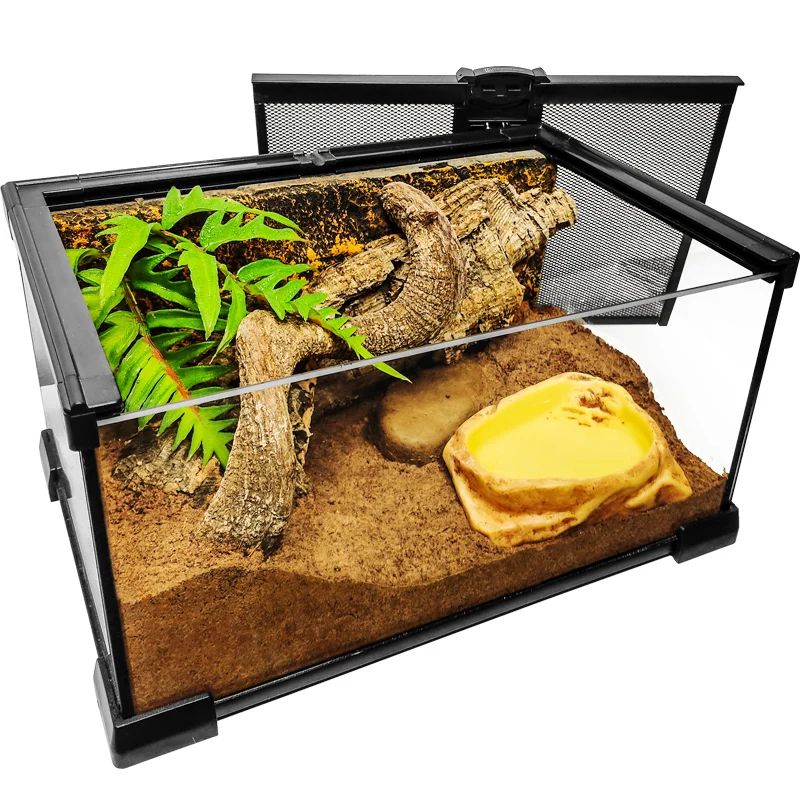 

Reptiles & Amphibians Rearing Tank Decoration 11" x 7" x 6" Middle Large Reptile Glass Terrarium Cage