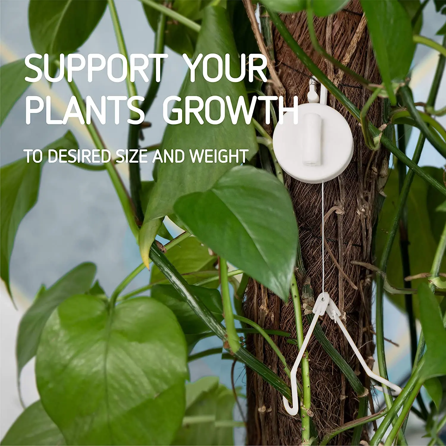 Hydroponics Handle Grow Yoyo Hanger Rope Ratchet Hangers Plant Yoyo For Grow Plant Buy Plant