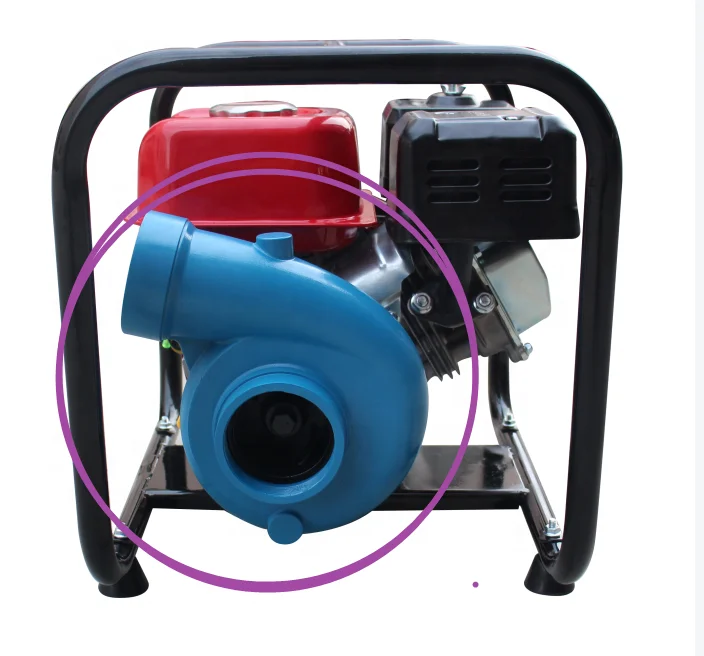 paste-pic-dp_uuid_9izhr