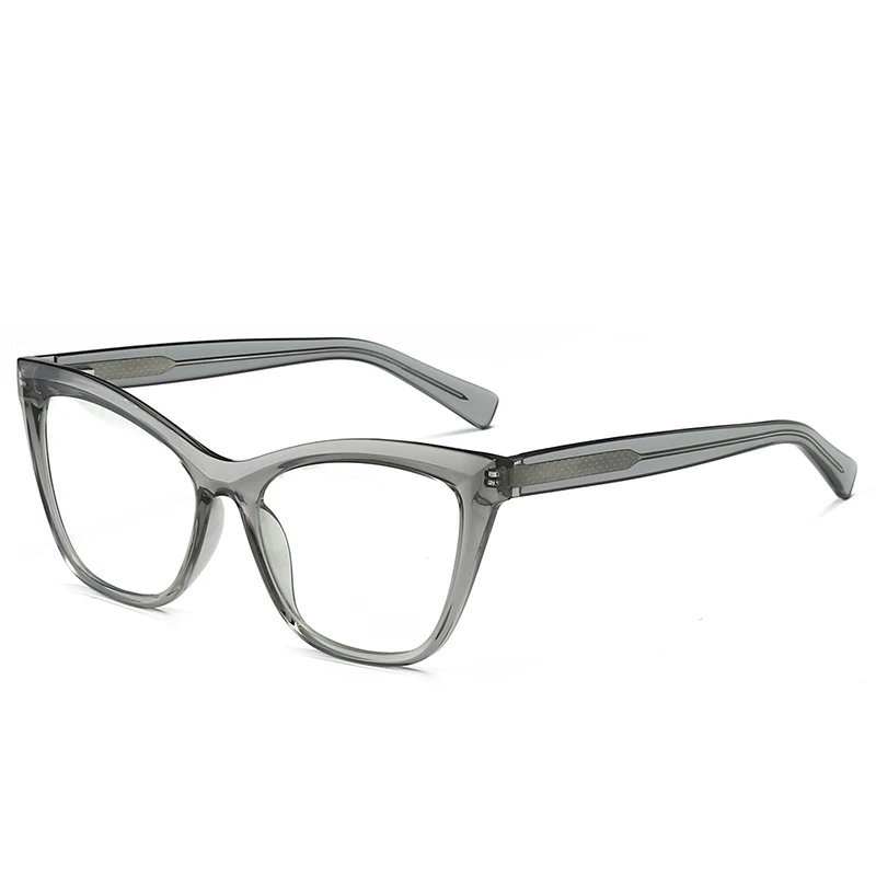 

2021 New Large Frame Anti Blue Light Glasses Fashion CP Spring Insert Flat Lenses Hot Selling Glasses