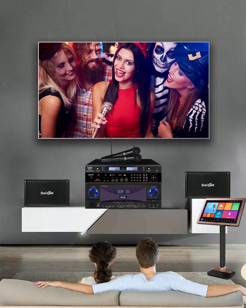 Ktv Equipment System Home Professional Karaoke Machine Home Theatre