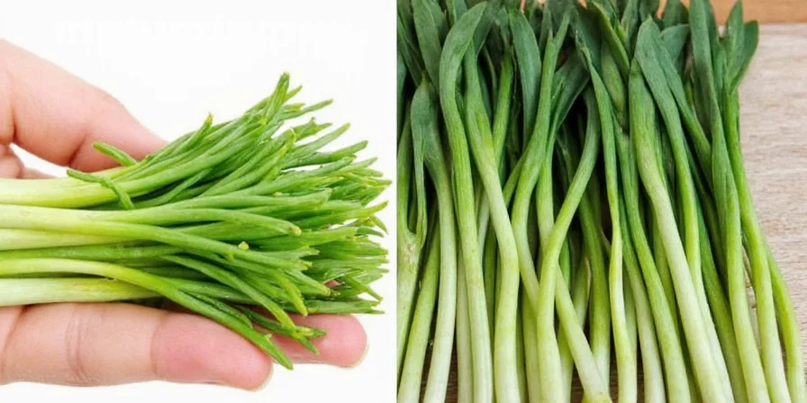 Various storage containers for dried chives