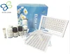 Human Muscle specific tyrosine kinase, MuSK ELISA kit